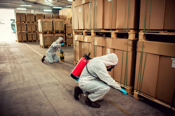 Best Flea Control Services  in Simpsonville, SC