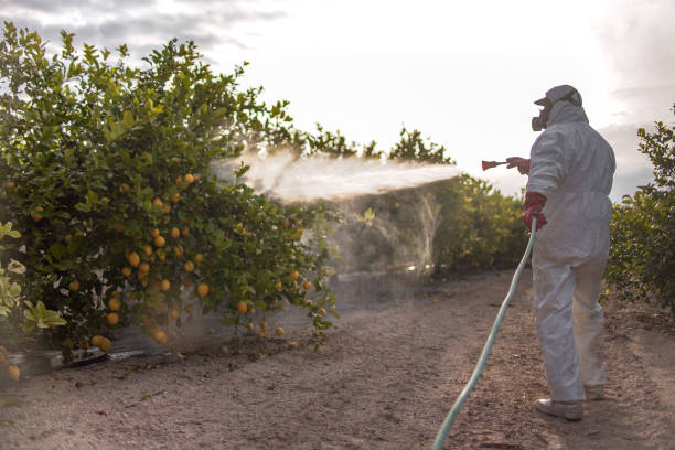 Best Pest Control Cost  in Simpsonville, SC