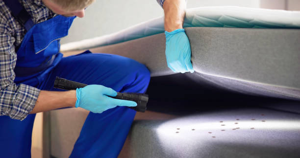 Best Rat Extermination Near Me  in Simpsonville, SC