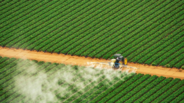 Pest Prevention Services in Simpsonville, SC