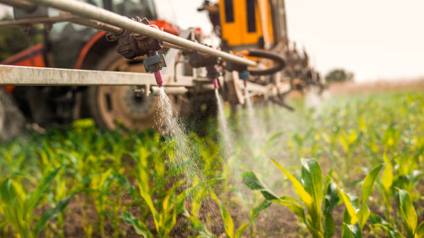 Pest Control Cost in Simpsonville, SC